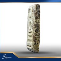 (ASSC520)พระสมเด็จวัดระฆังฯพิมพ์ใหญ่ Phra Somdej Wat Rakang, Pim Yai - Image 6